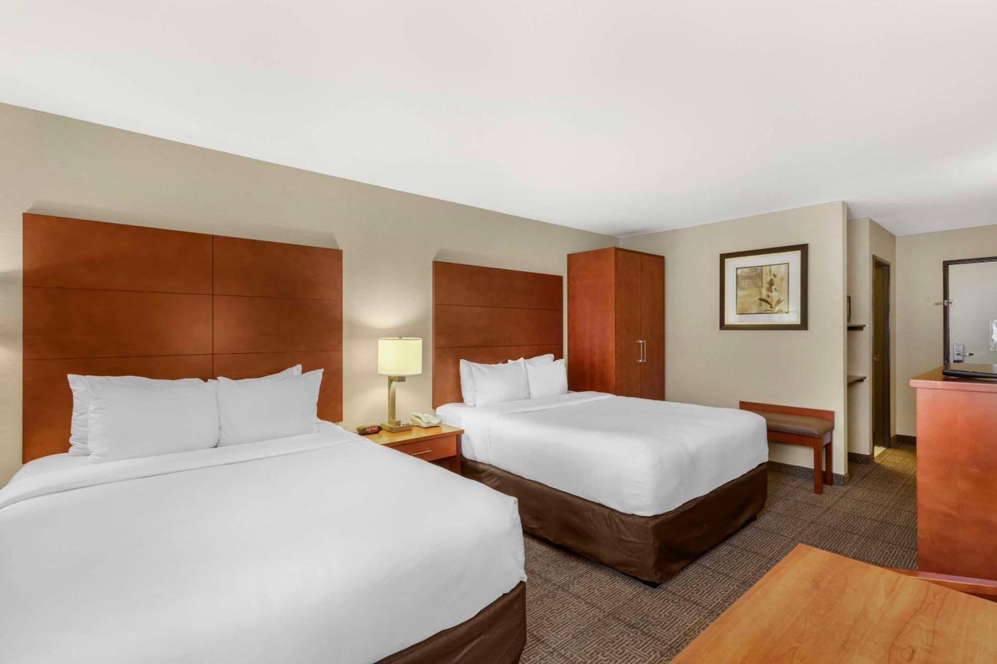 Comfort Inn & Suites Near Fallon Naval Air Station Esterno foto